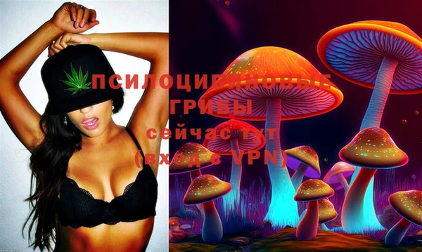 Альфа ПВП Баксан